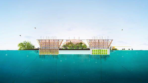 Μια ιδέα που θα ενισχύσει την αυτονομία των πλωτών πόλεων είναι η «ωκεανική καλλιέργεια», με την τοποθέτηση κλουβιών κάτω από τις πλατφόρμες για συγκομιδή φυκιών, χτενιών ή άλλων μορφών θαλασσινών / Φωτογραφία: BIG-Bjarke Ingels Group